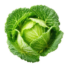 PNG fresh green savoy cabbage head with textured leaves on white background