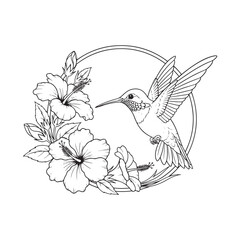Hummingbird feeding on hibiscus flowers in circle frame © Mdekramul
