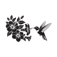 Hummingbird feeding on hibiscus flowers © Mdekramul