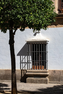 Ventana con rejas y sombra de &aacute;rbol en fachada blanca