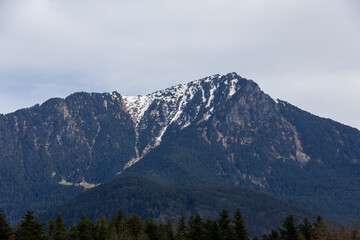Obraz premium Snow-capped mountain peak rising above dense forest under cloudy sky. Dramatic alpine landscape with rugged cliffs and natural wilderness in daylight.