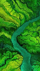 Green River Winding Through Lush Forest Aerial View