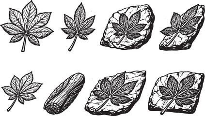 Archaic Palmate Fossil Leaf Icons Black and White Line Art