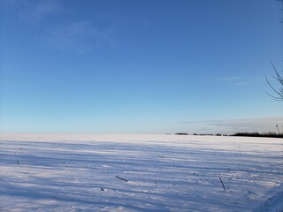 Obraz premium Winter landscape of a snow-covered field under a blue sky