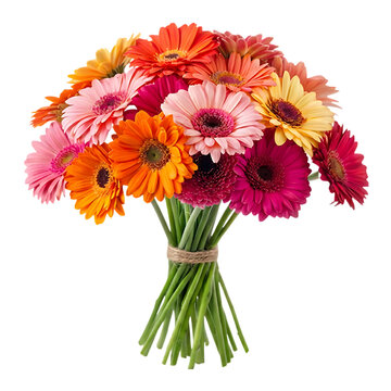 colorful gerbera daisies bouquet tied with twine transparent background