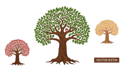Tree Illustrations Seasonal Variations of a Deciduous Tree.