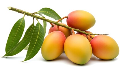 Vibrant cluster of ripe mangos illustration