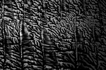 Black and white texture abstract background paint, shapes of branches or cracks on the surface to overlay
