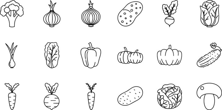 Hand drawn vegetable icon set with fresh organic food elements isolated in black and white outline style