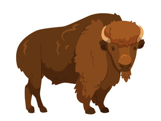 Cartoon-style illustration of a large brown bison with horns standing on a white background. Concept of wildlife and American prairie. Vector illustration © GN.STUDIO