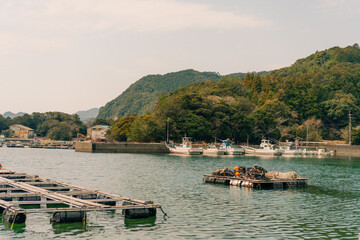Obraz premium Fish farm in the sea on Shikoku Island, Japan 