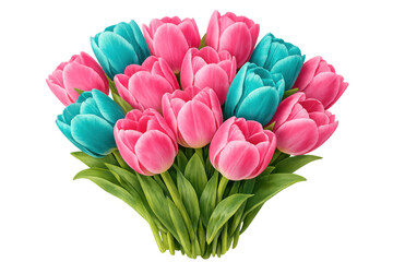 Obraz premium Vibrant bouquet of pink and teal tulips symbolizing spring, happiness, and special occasions, transparent background