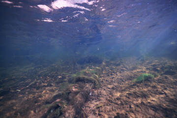 background rays of light under water, abstract pond in sunlight, nature backdrop underwater photography