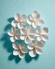 White Paper Flowers On Teal Background