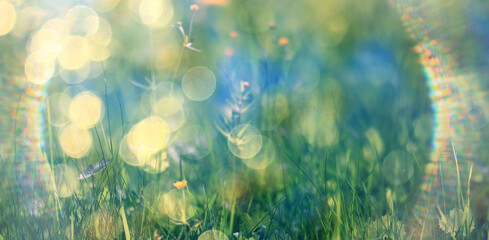 Fototapeta premium green background, eco concept, sunbeam glare, a frame of light on a summer backdrop of blurred fresh grass
