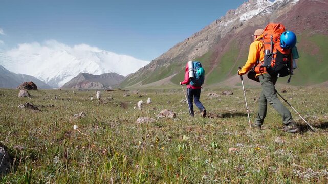 couple moving to high camp at Lenin Peak. Mountaineers with backpacks cross grass meadow at 3600m Base Camp location with vast panoramic view of Pamir mountains with Lenin Peak wall. Lenin peak exp