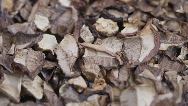 Micro view highlighting natural mushroom cap and stem surfaces, An indepth look at dried forest mushrooms revealing intricate organic textures and natural patterns