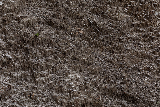 dettagli di un terreno naturale composto prevalentemente da minuscoli granelli di roccia aggregata di colore grigio