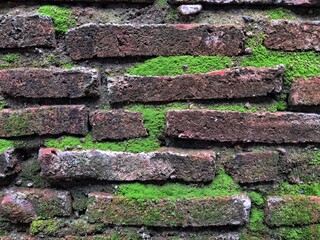 Ancient red brick wall covered with green moss texture, vintage weathered masonry background. For background, 3D poster design or vintage design.
