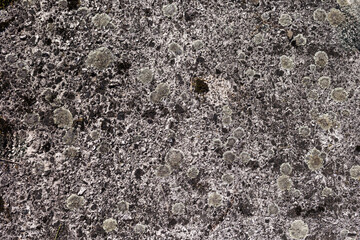 Highly detailed concrete texture and background