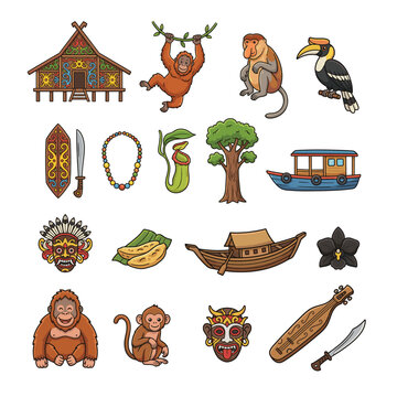 Kalimantan Island Culture and Wildlife Illustration Set