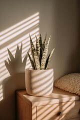 Fototapeta premium Snake plant in a speckled pot on a wooden nightstand, illuminated by diagonal sunlit stripes from blinds. Concept Snake plant, Wooden nightstand, Natural light, Sunlit diagonal stripes