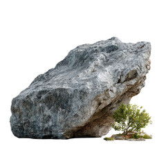Fototapeta premium Large rock sits alone near small green bush in open space during daytime