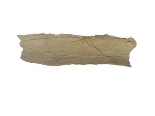 Torn paper strip realistic rough texture banner on transparent background