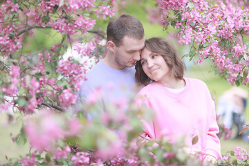 A couple in love among a pink cherry blossom in spring, a man and a woman hug