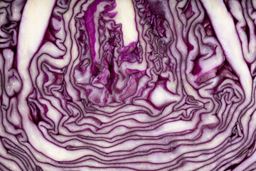 close up of red cabbage macro texture
