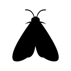 a simple black silhouette of a moth on white background