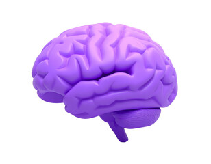 Purple Human Brain Model on White.