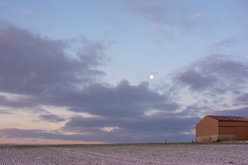 Winter Moon over the field