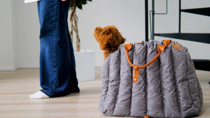 individual walks with small brown poodle, person in jeans with poodle in quilted carrier