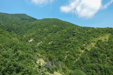 Obraz premium Green forested mountain hills under clear summer sky