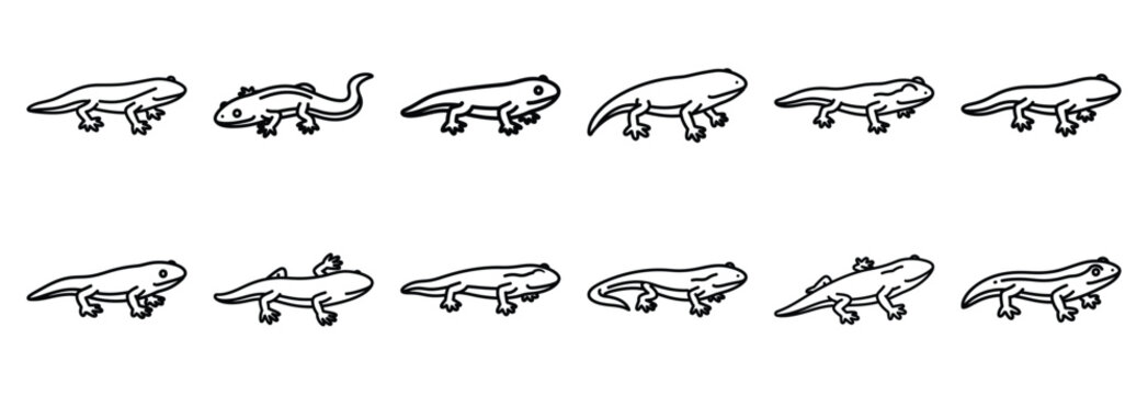 Collection of  caecilian limbless amphibian  line art icons on white background. Set of animal linear symbols. Vector illustration.