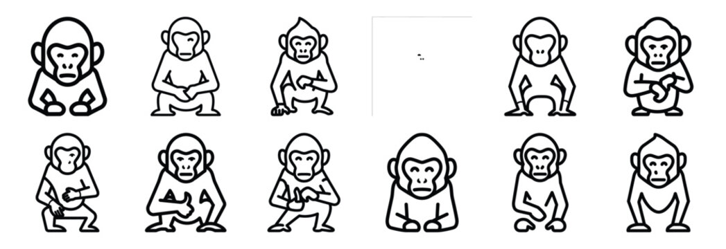 Collection of  capuchin monkey smart  line art icons on white background. Set of animal linear symbols. Vector illustration.