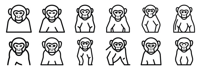 Collection of  colobus monkey black  line art icons on white background. Set of animal linear symbols. Vector illustration. © SreeAtul