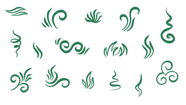 Collection of Decorative Green Swirls and Flourishes, Abstract Vector Design Elements on White Background, Isolated Ornament Graphics - Transparent PNG