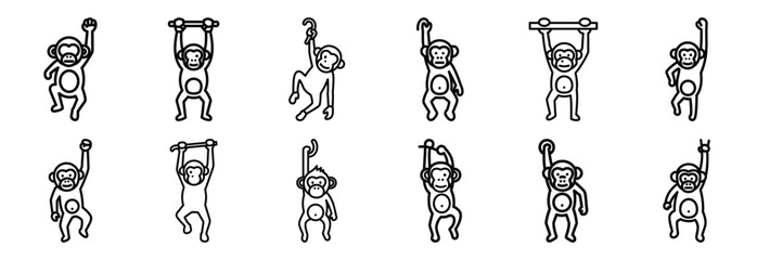 Collection of  monkey hanging  line art icons on white background. Set of animal linear symbols. Vector illustration. © SreeAtul