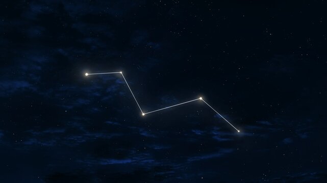 Vulpecula constellation in the sky. Stars on a black background. Astrological figure, mythological image.