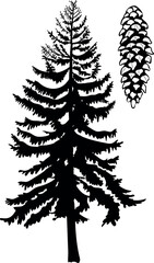 Fototapeta premium Black silhouette of big spruce tree cone in realistic style isolated on white background
