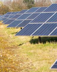 Solar panels stand in rows under clear sky on sunny day at green field near town location for renewable energy