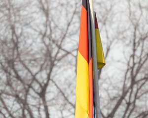 German flag and colors displayed in front of bare trees during a chilly day in winter