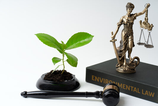 Environmental Law Concept With Justice Statue, Gavel and Green Plant drome on gavel's base