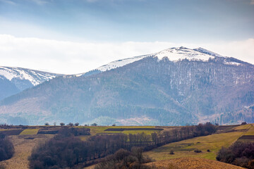 Fototapeta premium carpathian mountains of ukraine in early spring. morning view of countryside landscape with rolling hills, snow covered peak. green environment sustainability and protection. background for earth day