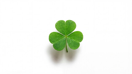 Green Irish shamrock leaf for St Patrick's Day