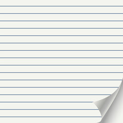 dog-eared sheet of ruled paper, vector illustration
