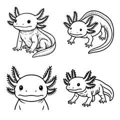 Obraz premium Axolotl Line Art Vector Illustration Set