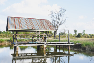 A wooden hut reflects in a calm pond under sunlight.